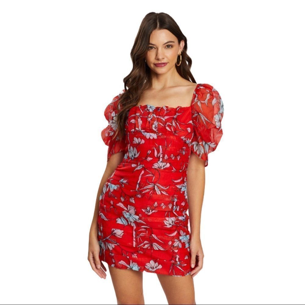 NWT Charlie Holiday Palma Mini Dress